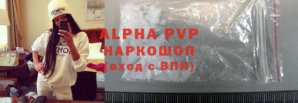 сатива Инта
