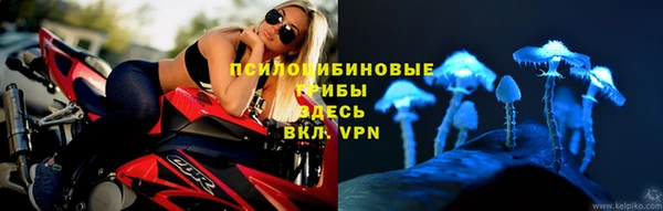 Альфа ПВП Абинск