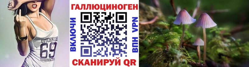 Псилоцибиновые грибы GOLDEN TEACHER  как найти наркотики  OMG сайт  Покачи 